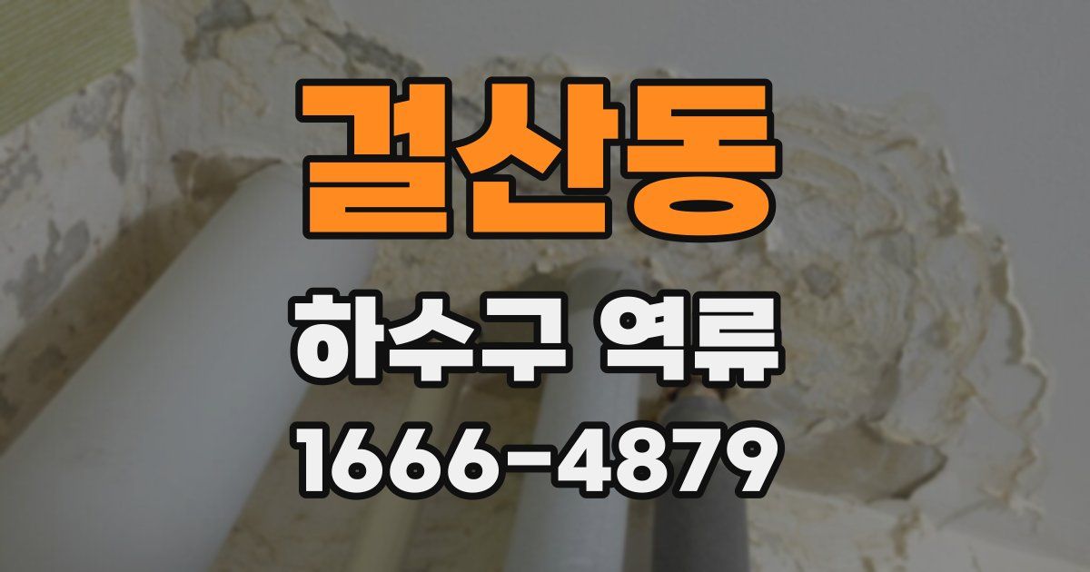 걸산동 하수구 역류