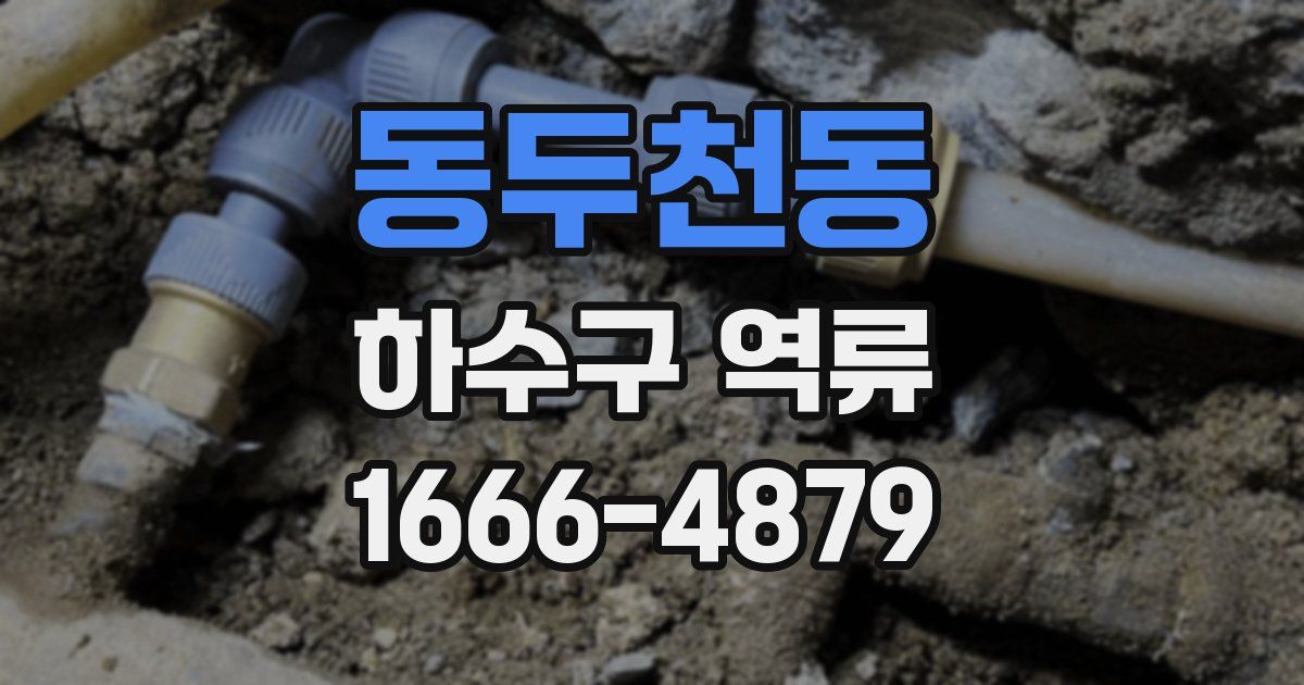 동두천동 하수구 역류