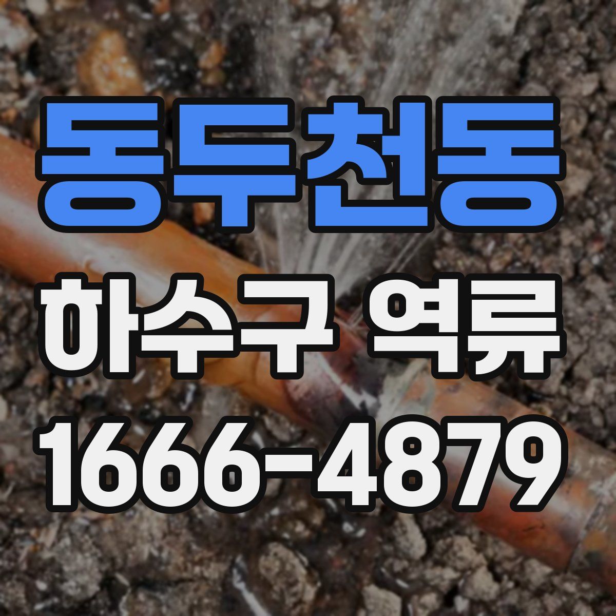 동두천동 하수구 역류