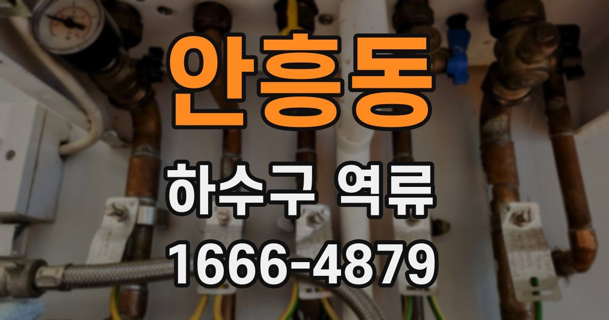안흥동 하수구 역류