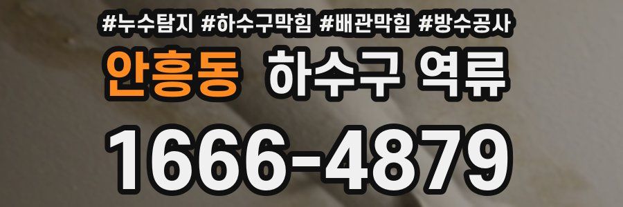 안흥동 하수구 역류