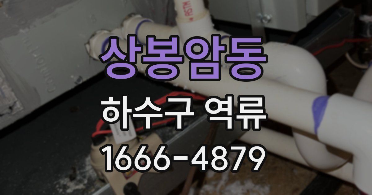 상봉암동 하수구 역류
