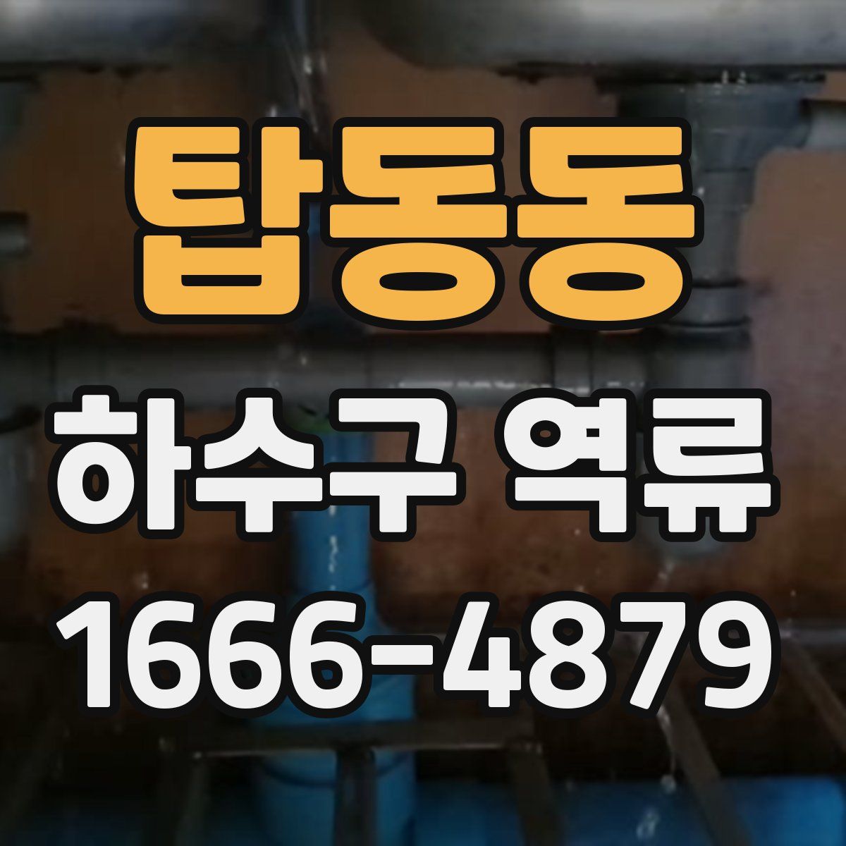 탑동동 하수구 역류