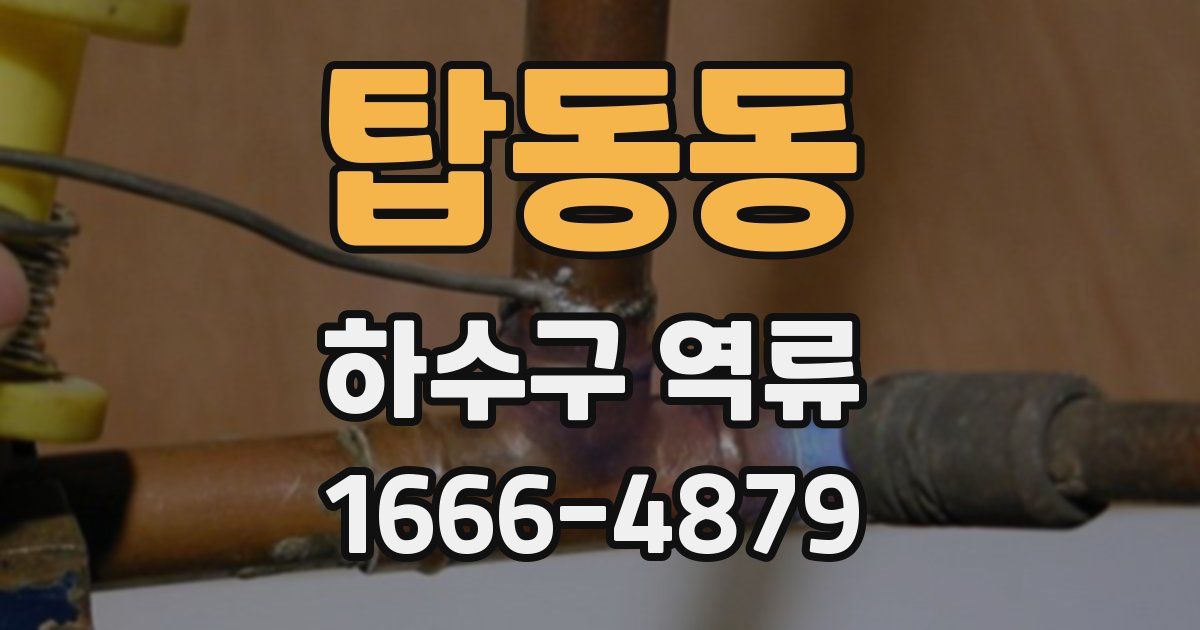 탑동동 하수구 역류