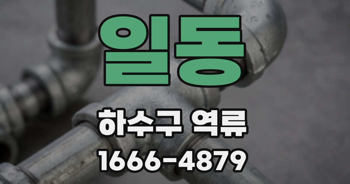 일동 하수구 역류