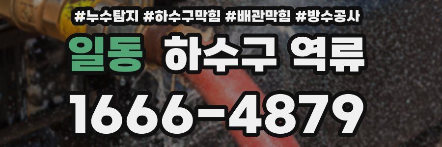 일동 하수구 역류
