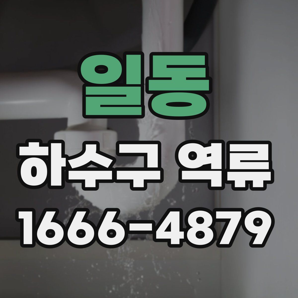 일동 하수구 역류