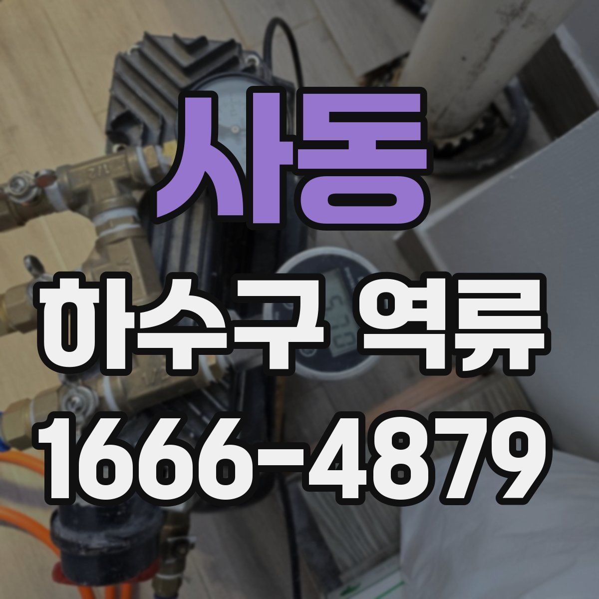 사동 하수구 역류
