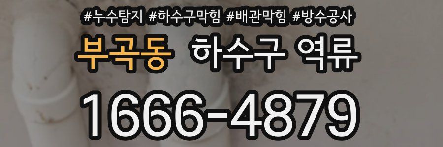 부곡동 하수구 역류