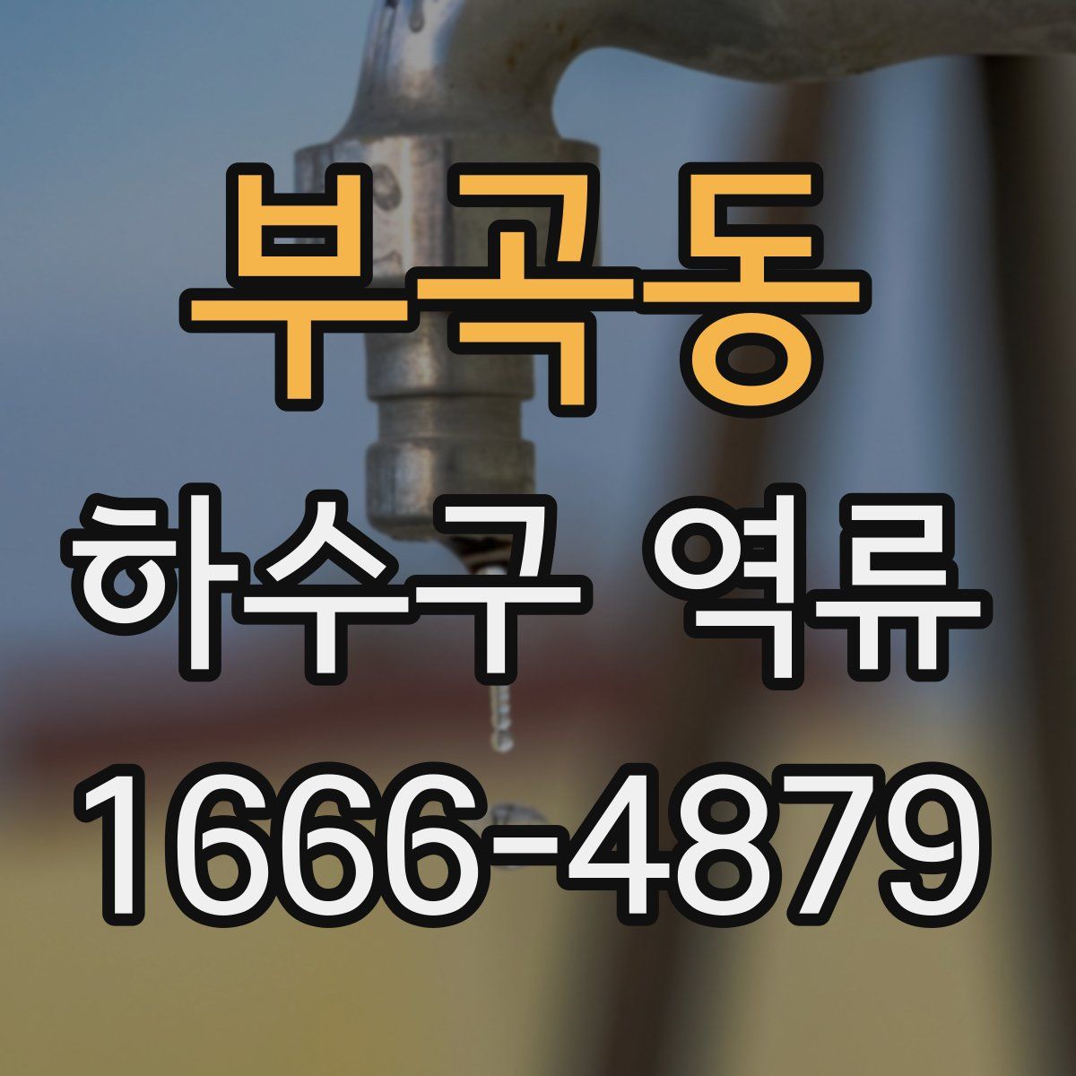 부곡동 하수구 역류