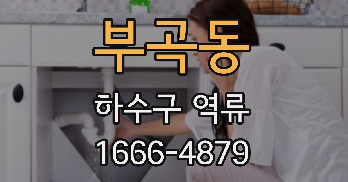부곡동 하수구 역류