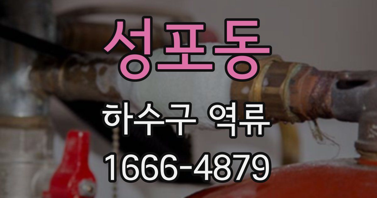 성포동 하수구 역류