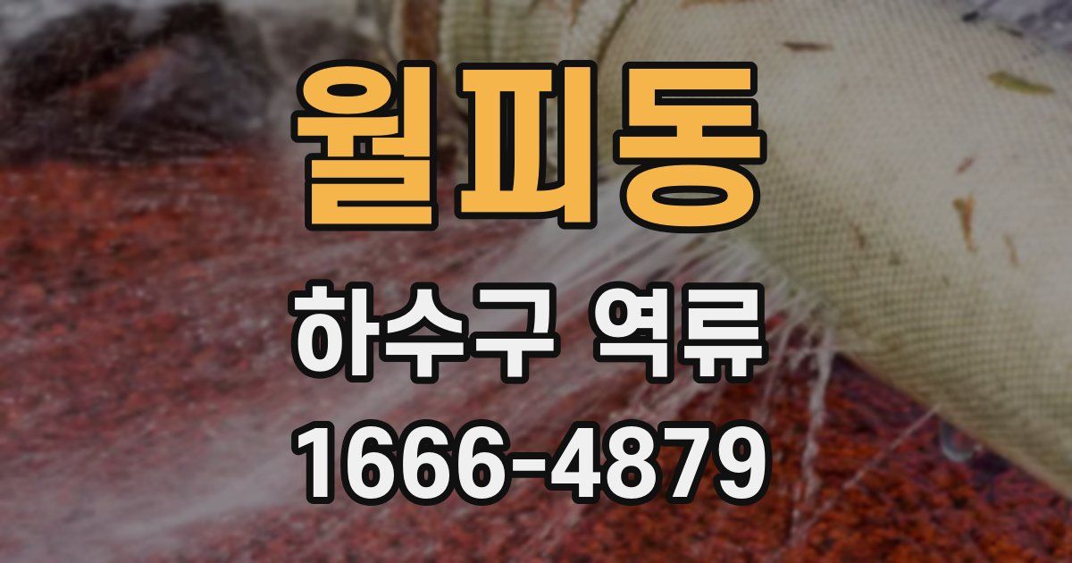 월피동 하수구 역류