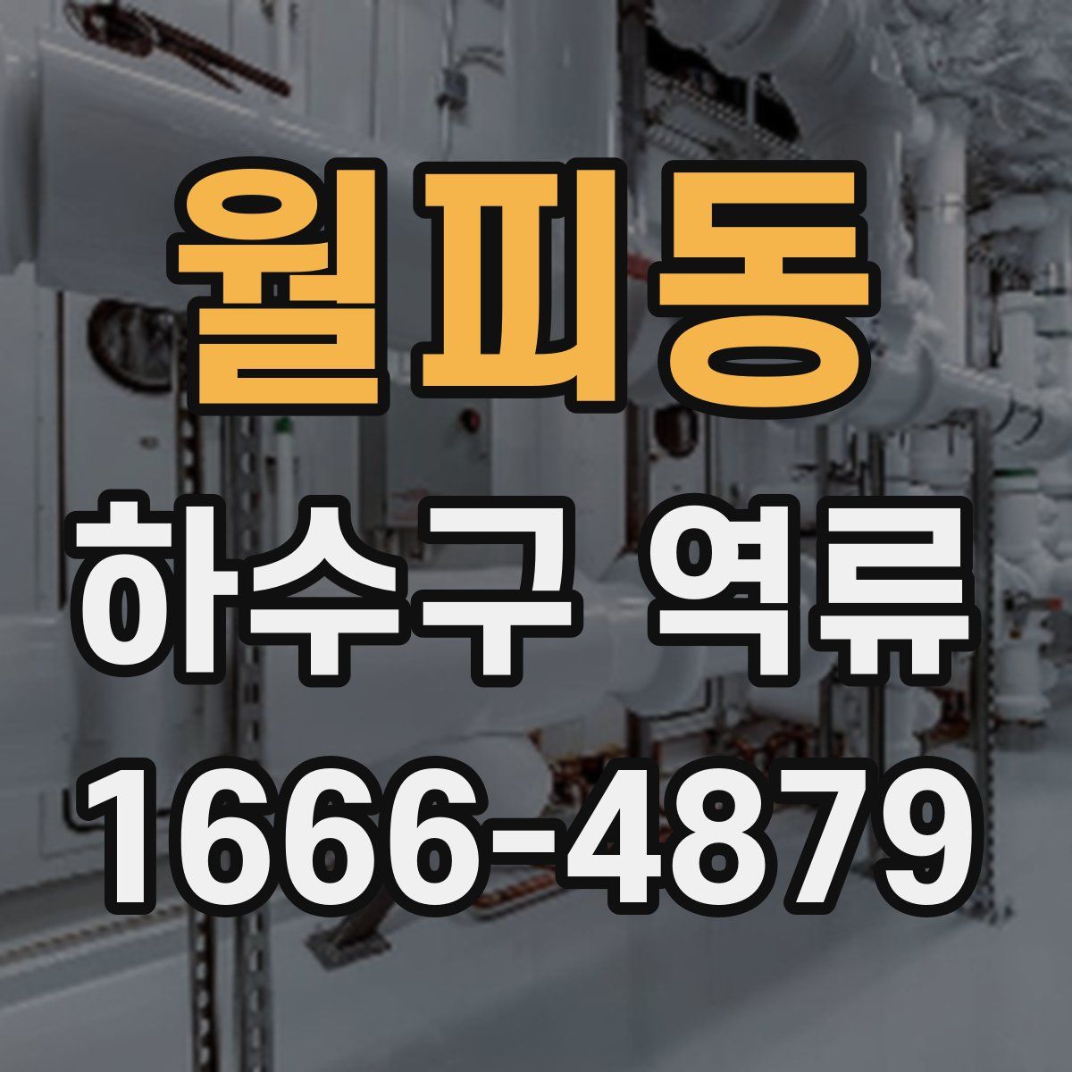 월피동 하수구 역류