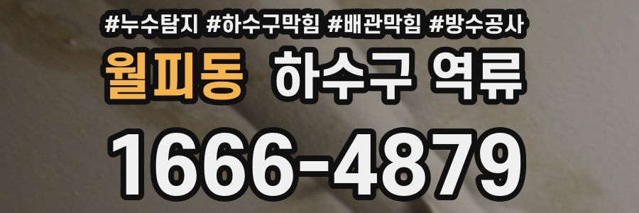 월피동 하수구 역류