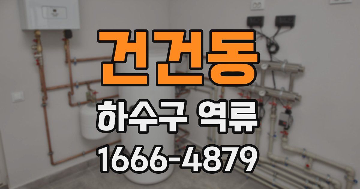 건건동 하수구 역류