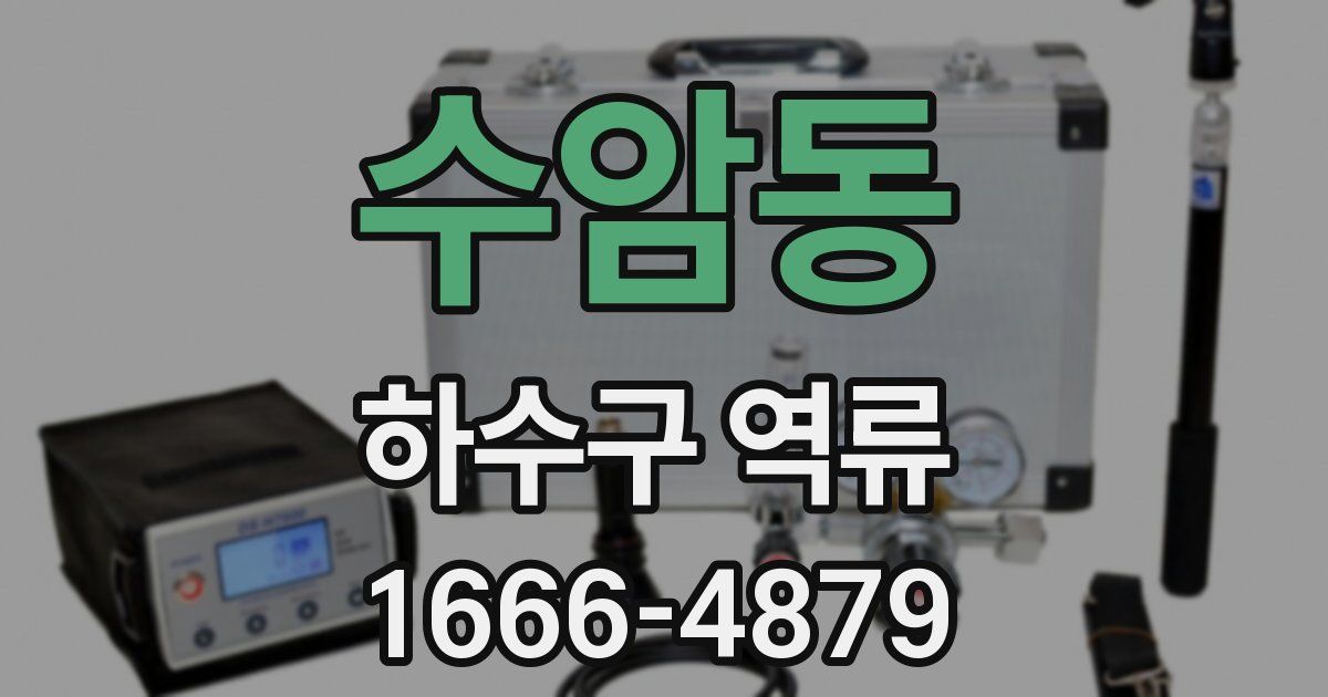 수암동 하수구 역류
