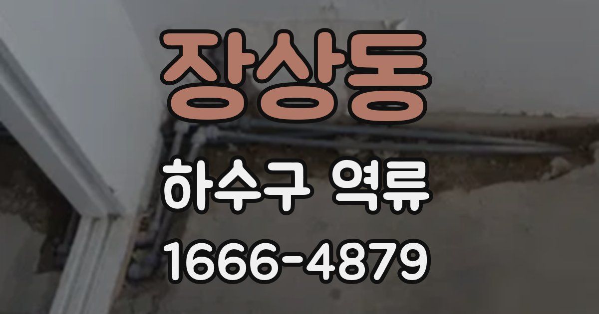 장상동 하수구 역류