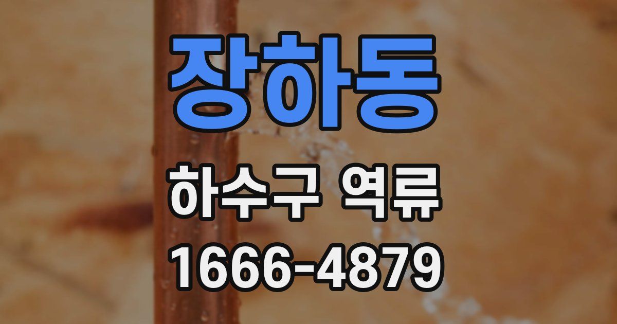 장하동 하수구 역류