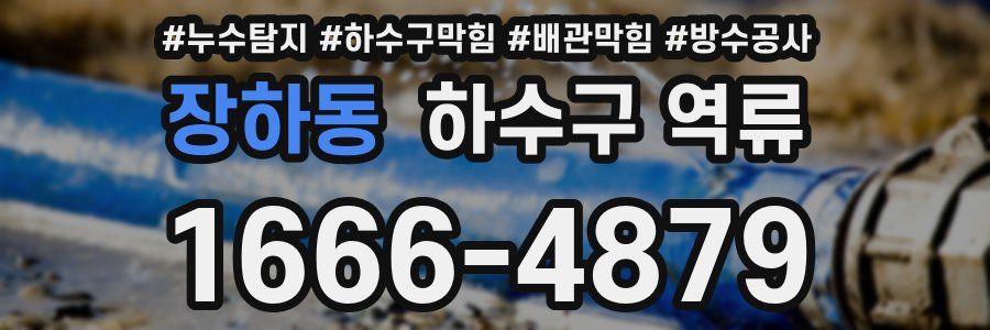 장하동 하수구 역류