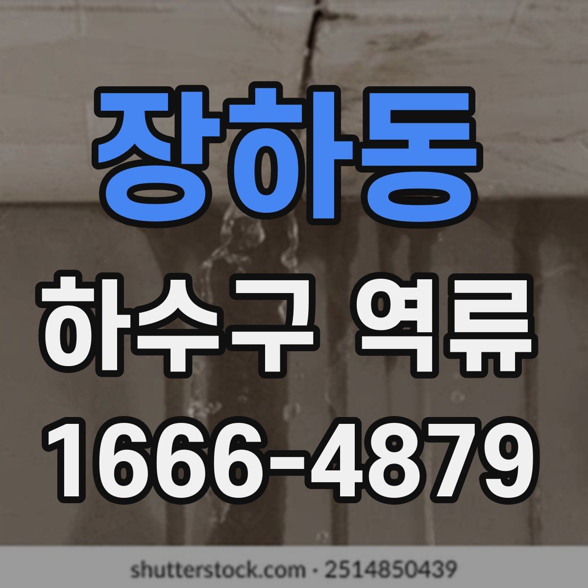 장하동 하수구 역류
