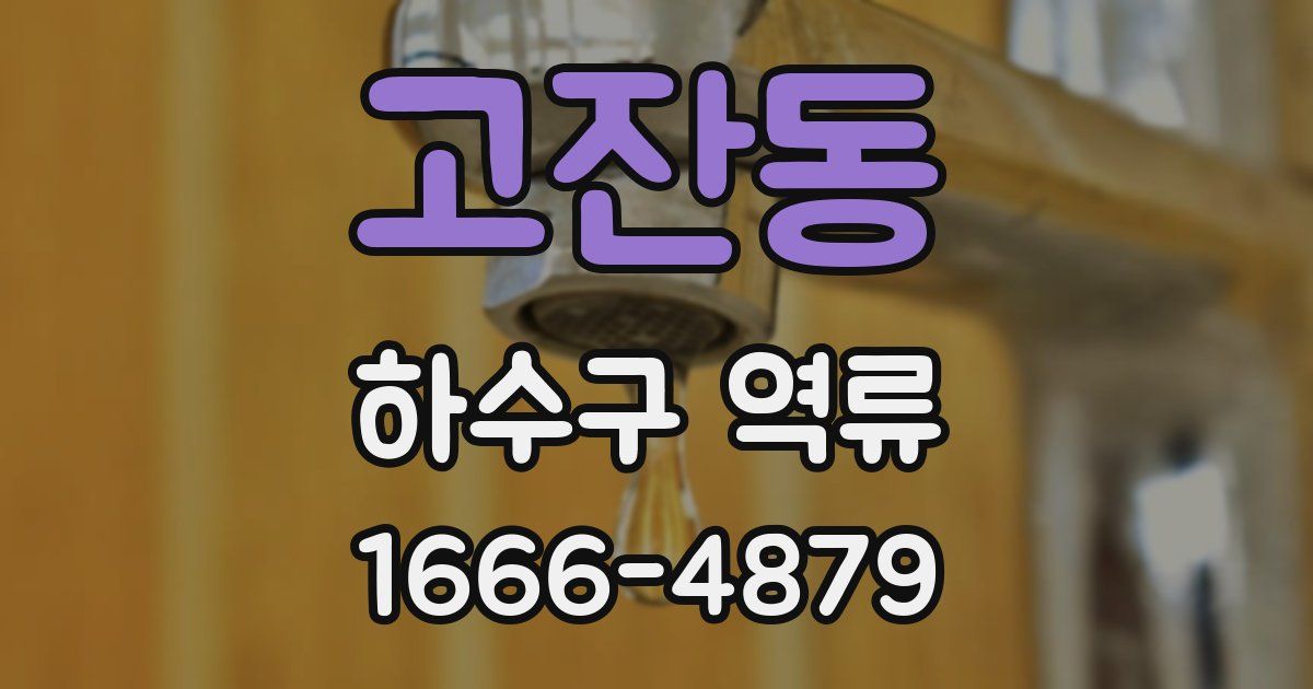 고잔동 하수구 역류