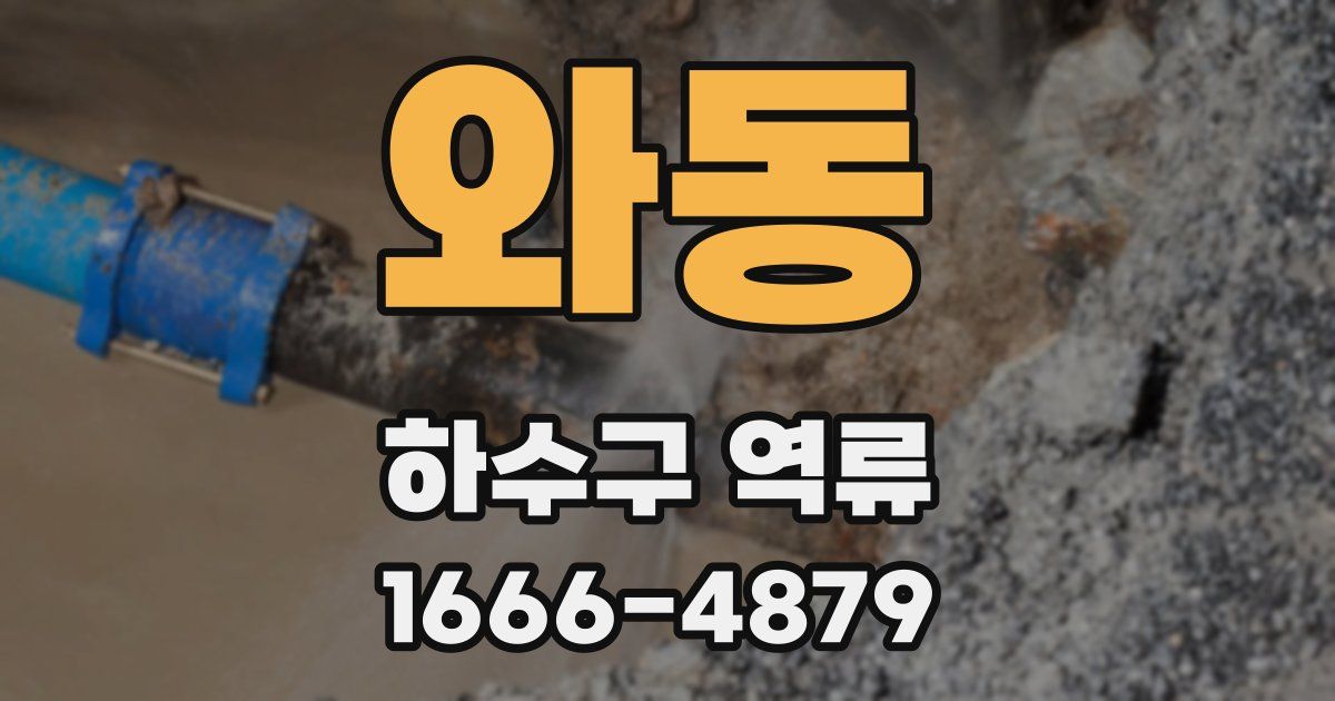 와동 하수구 역류
