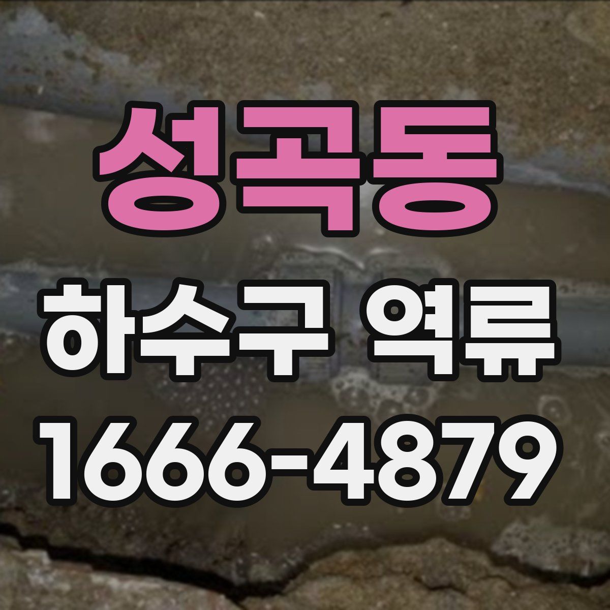 성곡동 하수구 역류