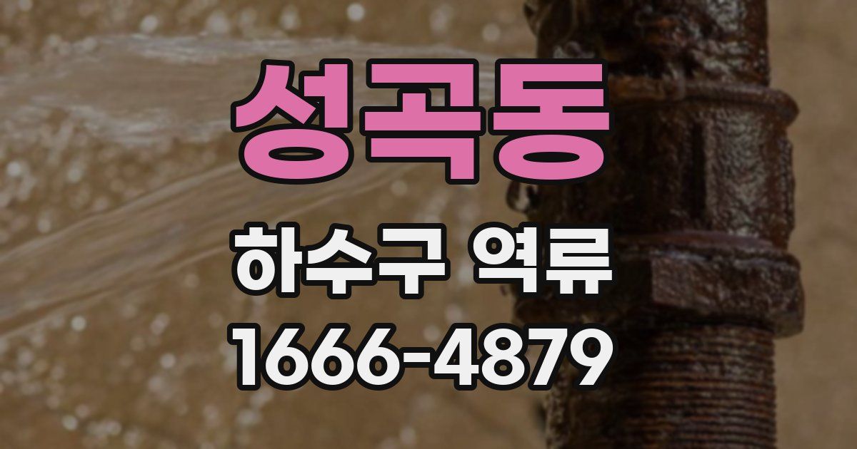 성곡동 하수구 역류