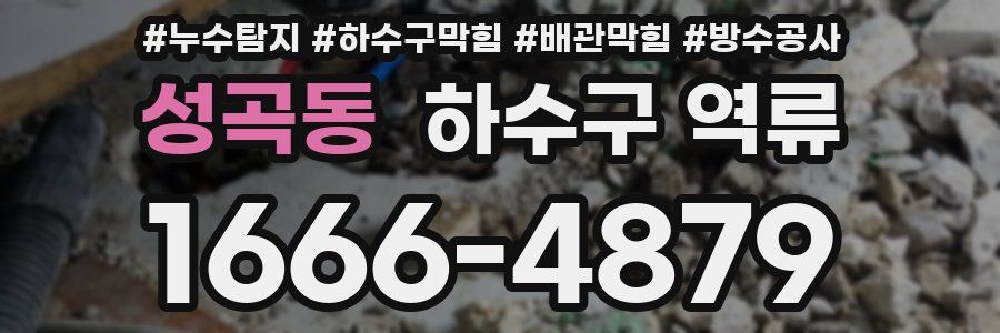 성곡동 하수구 역류