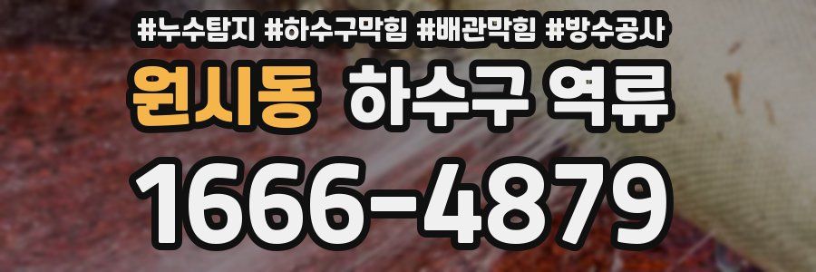 원시동 하수구 역류