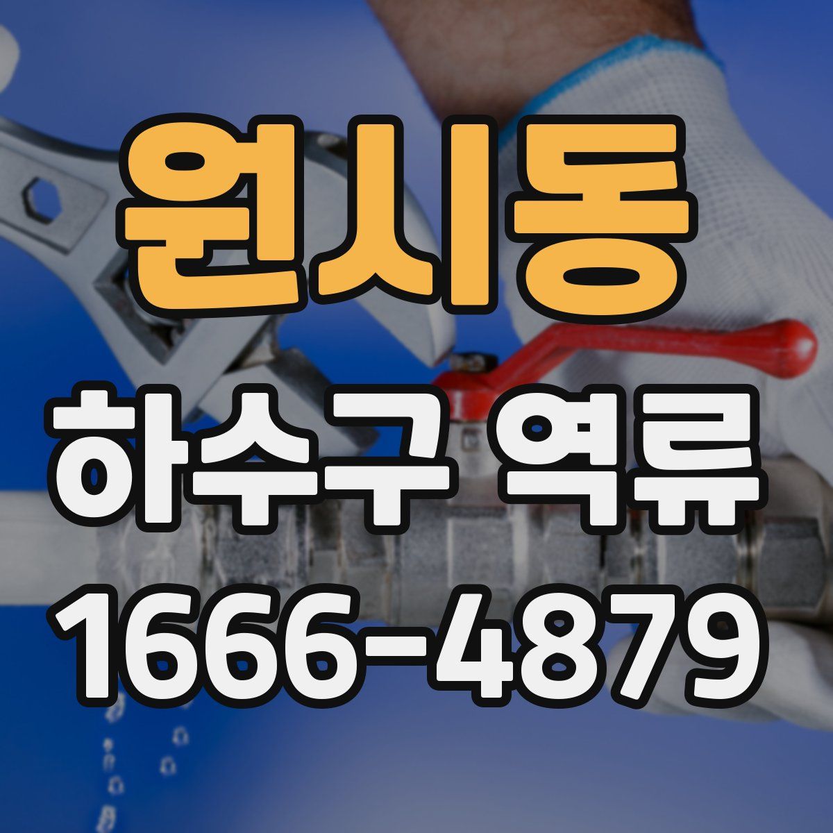 원시동 하수구 역류