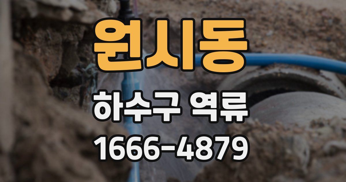 원시동 하수구 역류