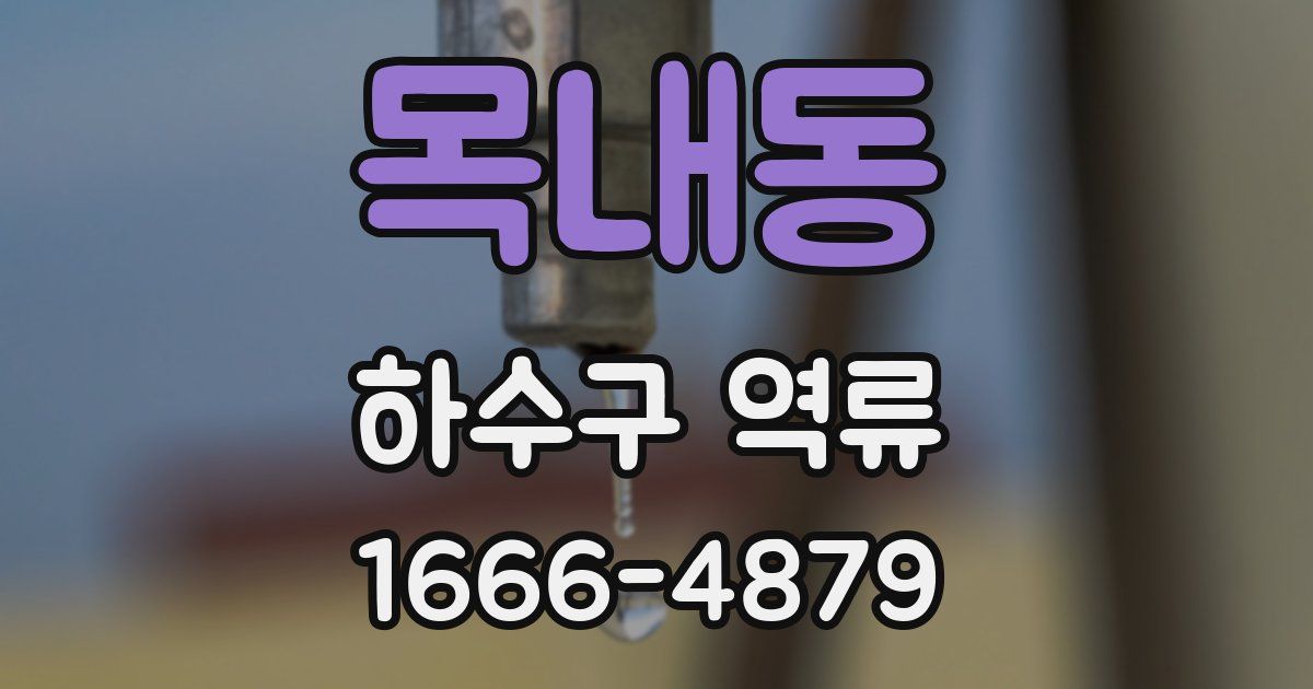 목내동 하수구 역류