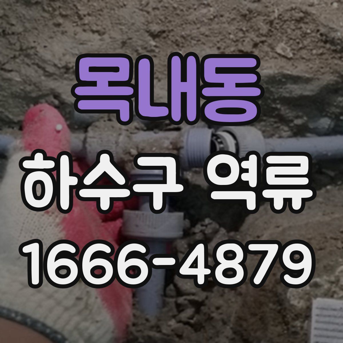 목내동 하수구 역류