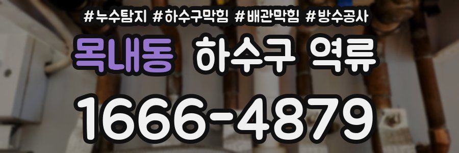 목내동 하수구 역류