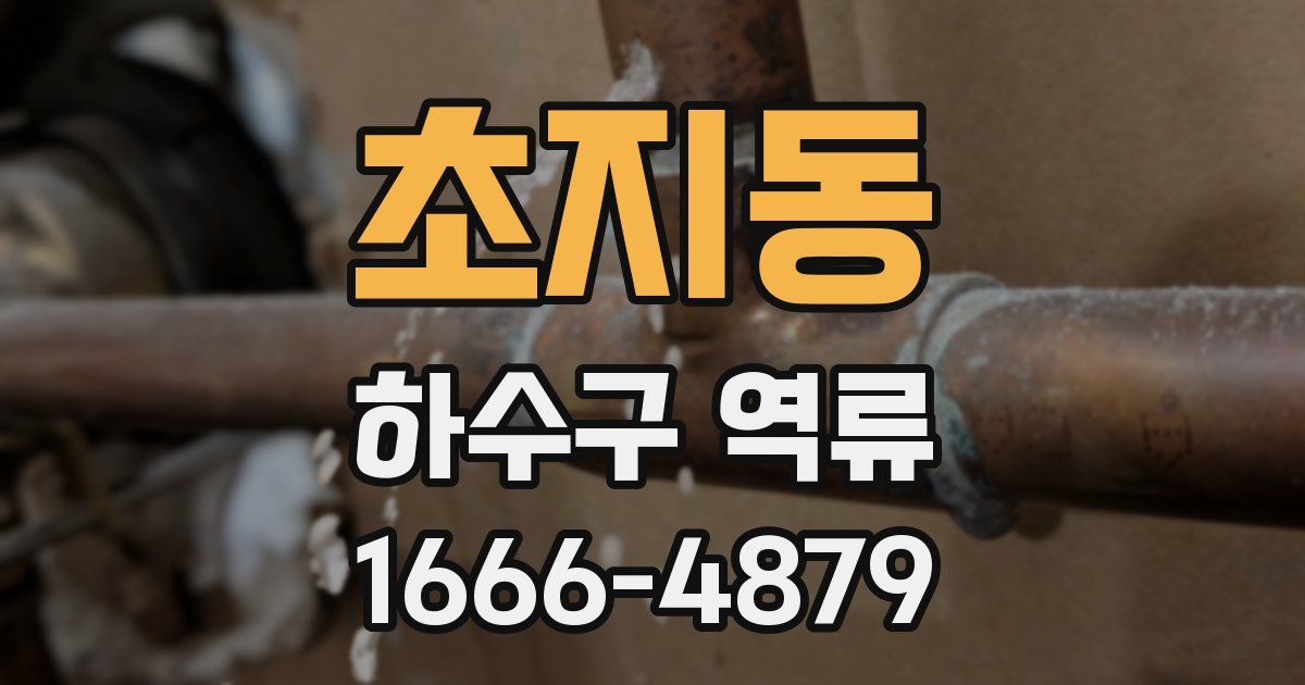 초지동 하수구 역류