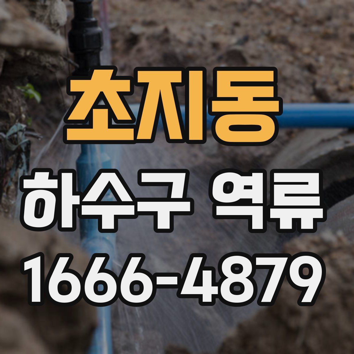 초지동 하수구 역류