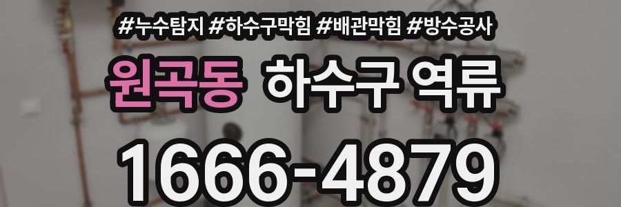 원곡동 하수구 역류