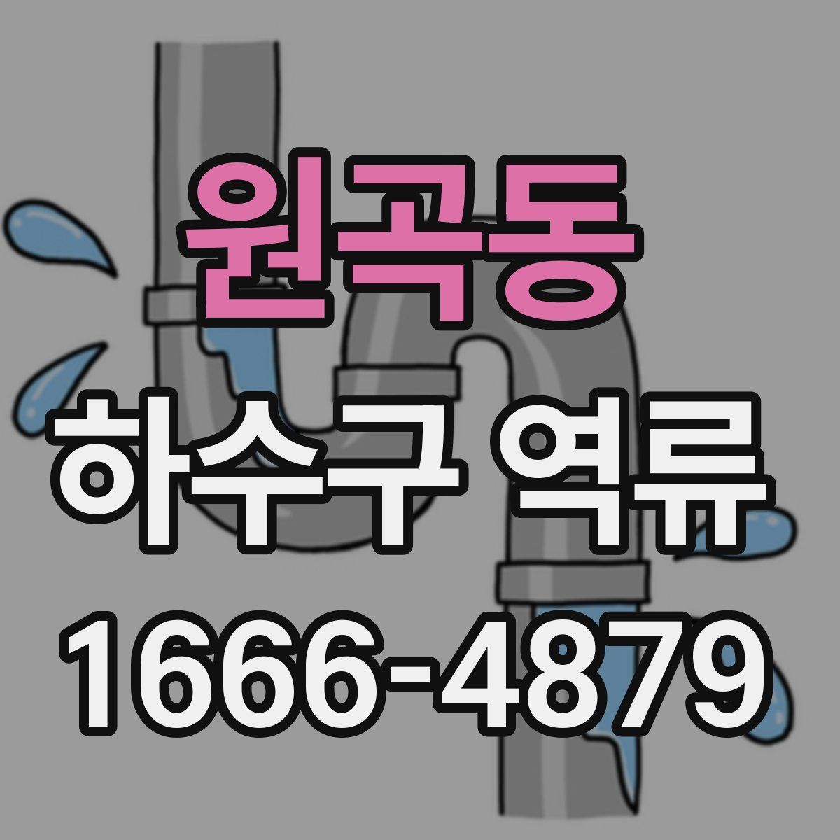 원곡동 하수구 역류