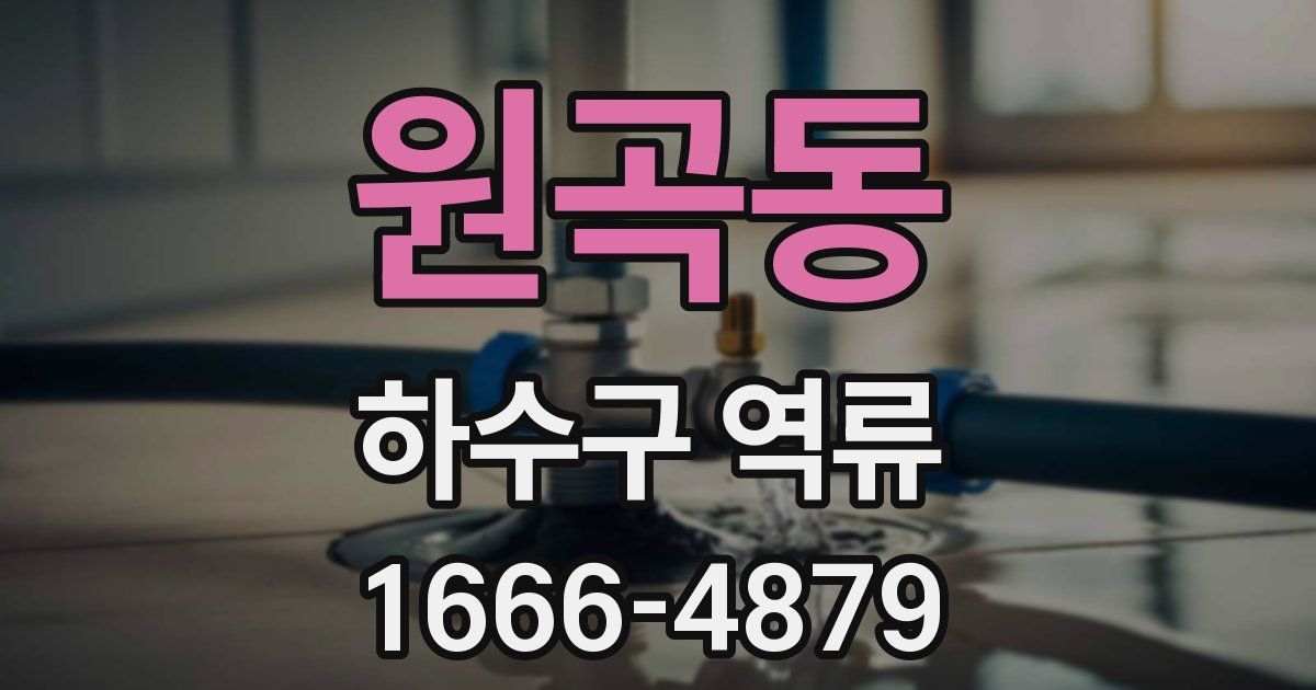 원곡동 하수구 역류