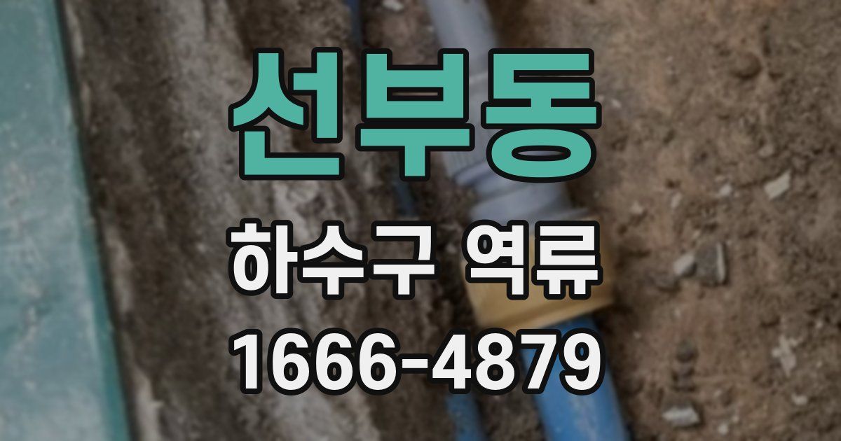 선부동 하수구 역류