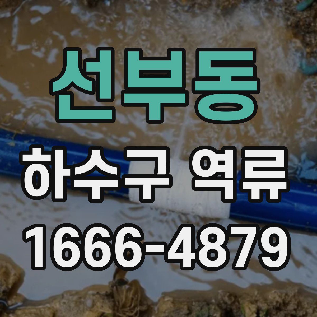 선부동 하수구 역류
