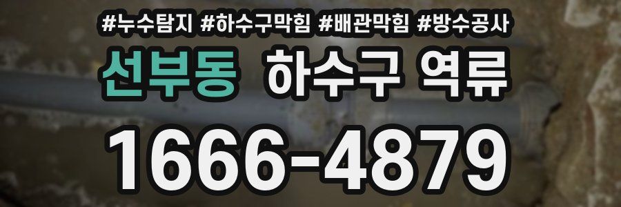 선부동 하수구 역류