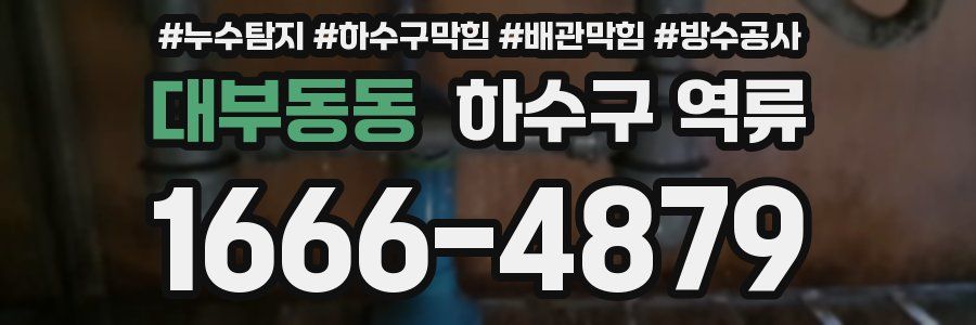 대부동동 하수구 역류