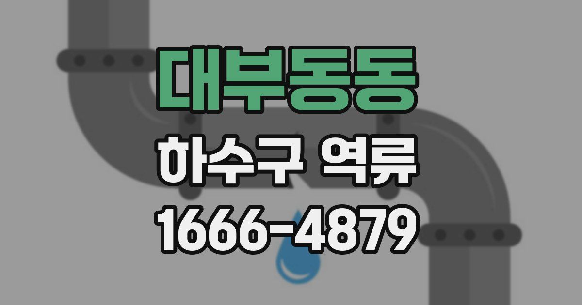 대부동동 하수구 역류
