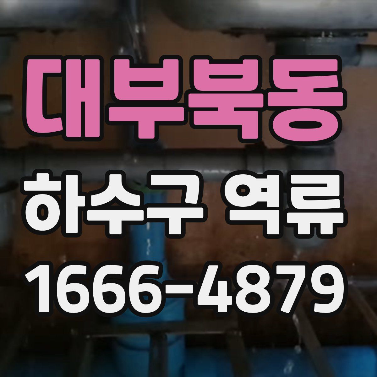 대부북동 하수구 역류