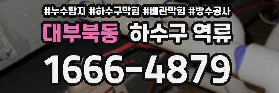 대부북동 하수구 역류