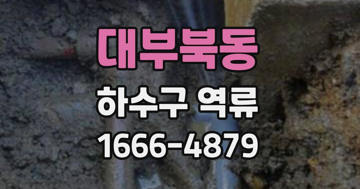 대부북동 하수구 역류