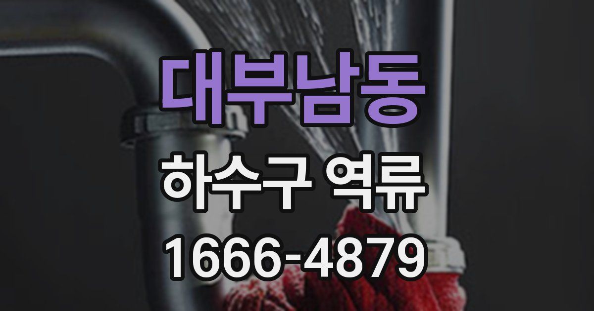 대부남동 하수구 역류